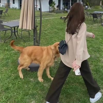 无敌少侠第三季